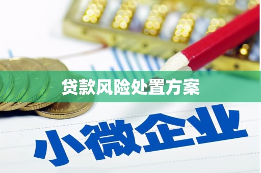 龙岗贷款风险处置方案