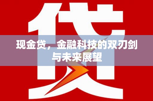 龙岗现金贷，金融科技的双刃剑与未来展望