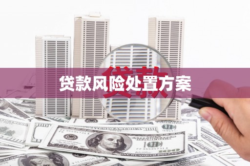 龙岗贷款风险处置方案