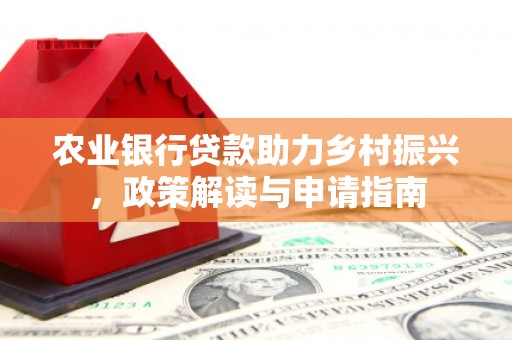 龙岗农业银行贷款助力乡村振兴，政策解读与申请指南