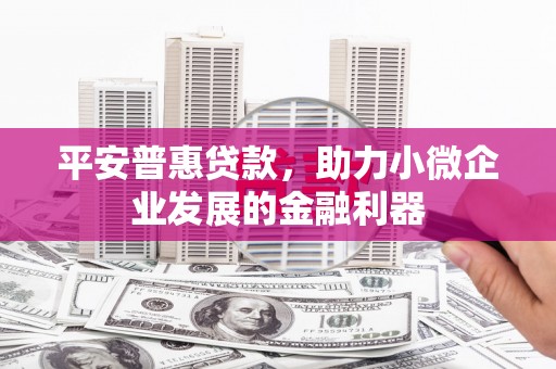 龙岗平安普惠贷款，助力小微企业发展的金融利器