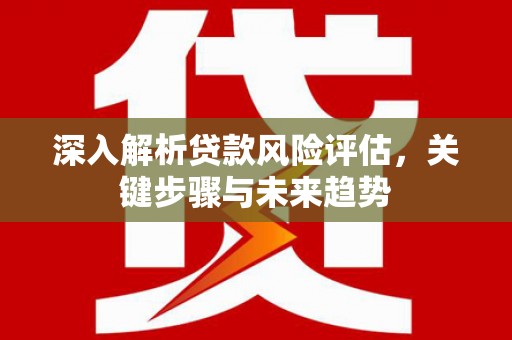 龙岗深入解析贷款风险评估，关键步骤与未来趋势