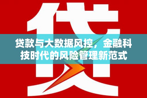 龙岗贷款与大数据风控，金融科技时代的风险管理新范式