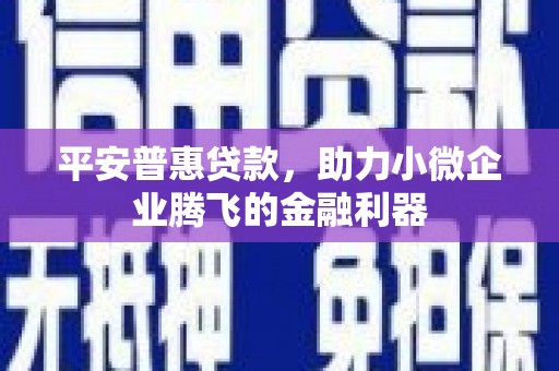 龙岗平安普惠贷款，助力小微企业腾飞的金融利器