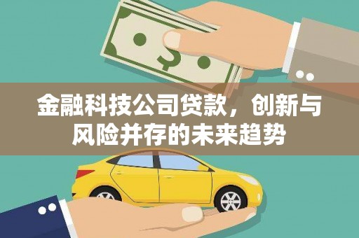 龙岗金融科技公司贷款，创新与风险并存的未来趋势