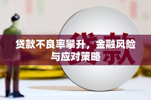 龙岗贷款不良率攀升，金融风险与应对策略