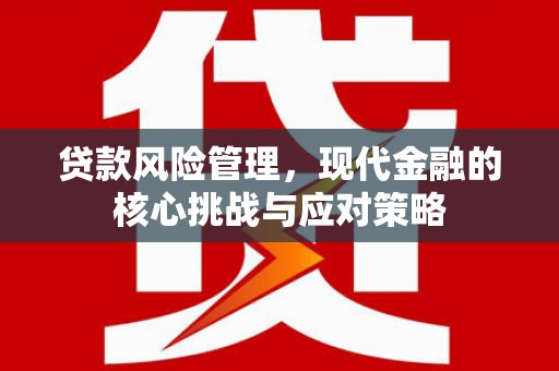 龙岗贷款风险管理，现代金融的核心挑战与应对策略