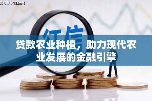 龙岗贷款农业种植，助力现代农业发展的金融引擎