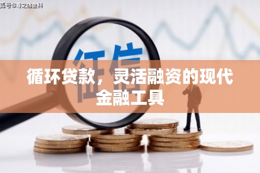 龙岗循环贷款，灵活融资的现代金融工具