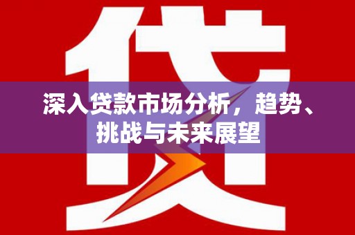 龙岗深入贷款市场分析，趋势、挑战与未来展望