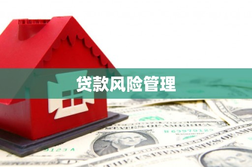 龙岗贷款风险管理