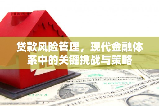 龙岗贷款风险管理，现代金融体系中的关键挑战与策略