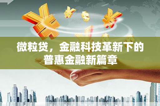 龙岗微粒贷，金融科技革新下的普惠金融新篇章