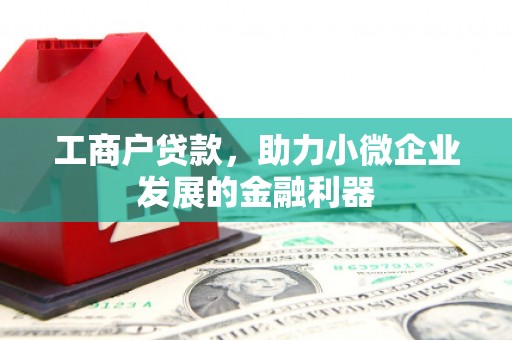 龙岗工商户贷款，助力小微企业发展的金融利器