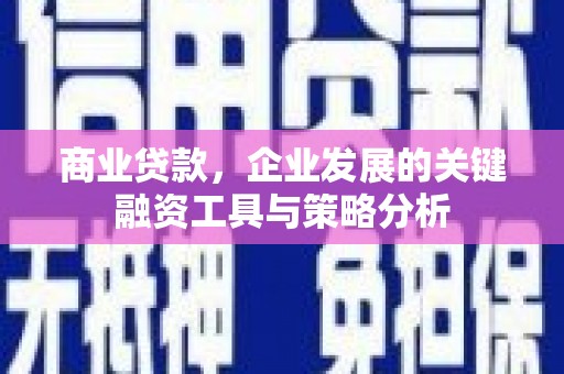 龙岗商业贷款，企业发展的关键融资工具与策略分析