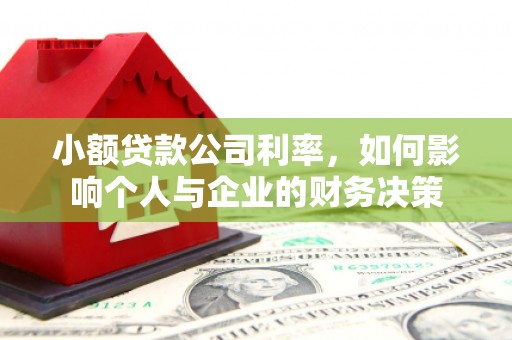 龙岗小额贷款公司利率，如何影响个人与企业的财务决策
