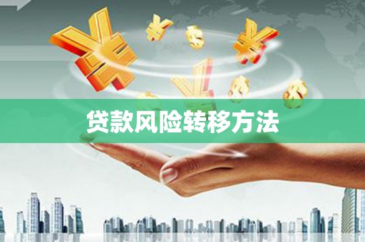 龙岗贷款风险转移方法