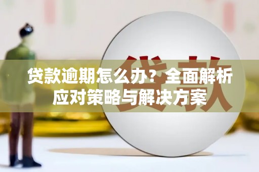龙岗贷款逾期怎么办？全面解析应对策略与解决方案