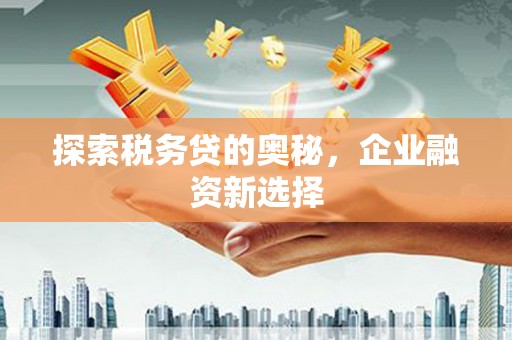 龙岗探索税务贷的奥秘，企业融资新选择