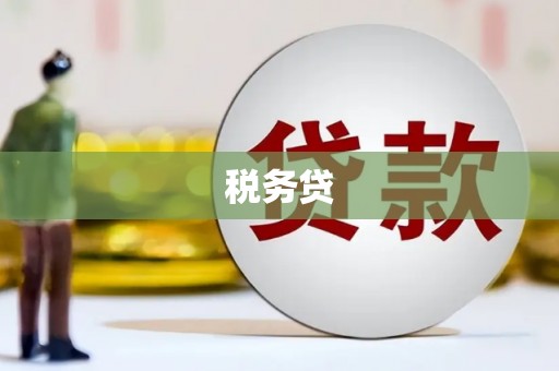 龙岗税务贷