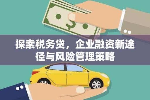 龙岗探索税务贷，企业融资新途径与风险管理策略