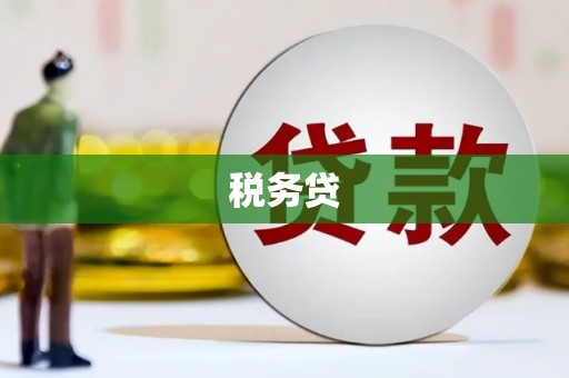 龙岗税务贷