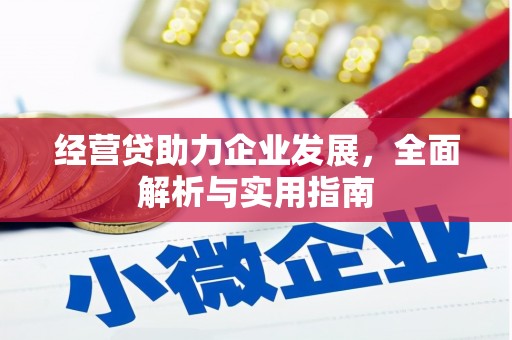 龙岗经营贷助力企业发展，全面解析与实用指南