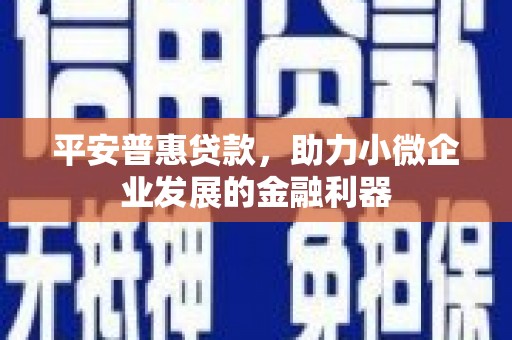龙岗平安普惠贷款，助力小微企业发展的金融利器