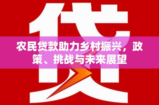 龙岗农民贷款助力乡村振兴，政策、挑战与未来展望