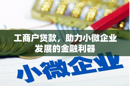 龙岗工商户贷款，助力小微企业发展的金融利器