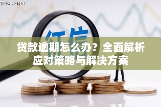 龙岗贷款逾期怎么办？全面解析应对策略与解决方案