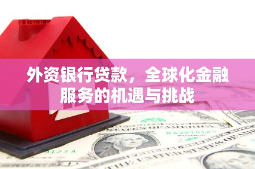 龙岗外资银行贷款，全球化金融服务的机遇与挑战