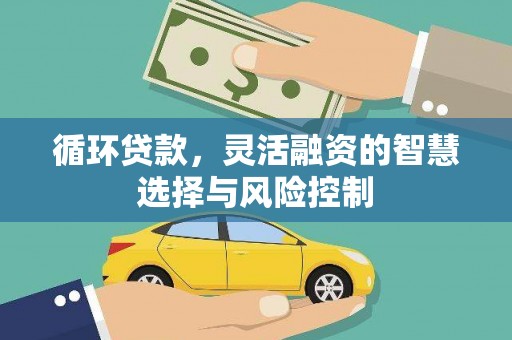 龙岗循环贷款，灵活融资的智慧选择与风险控制