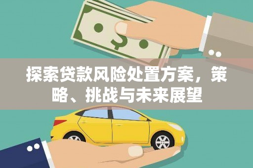 龙岗探索贷款风险处置方案，策略、挑战与未来展望