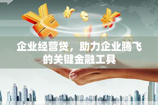 龙岗企业经营贷，助力企业腾飞的关键金融工具