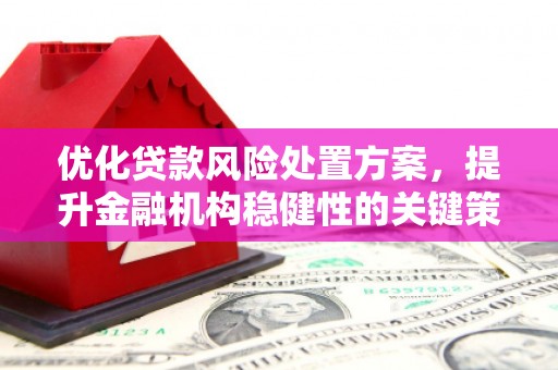 龙岗优化贷款风险处置方案，提升金融机构稳健性的关键策略