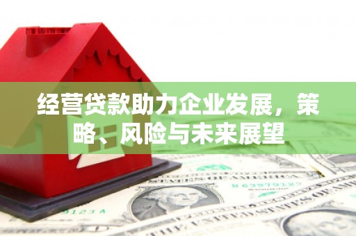 龙岗经营贷款助力企业发展，策略、风险与未来展望