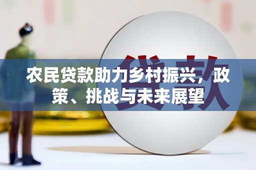 龙岗农民贷款助力乡村振兴，政策、挑战与未来展望