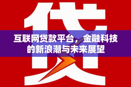 龙岗互联网贷款平台，金融科技的新浪潮与未来展望