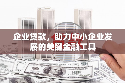 龙岗企业贷款，助力中小企业发展的关键金融工具