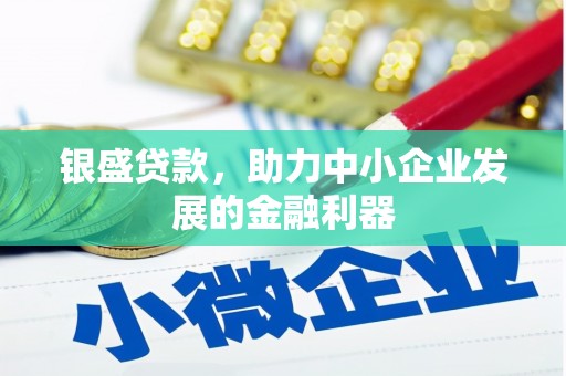 龙岗银盛贷款，助力中小企业发展的金融利器