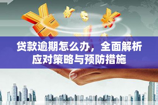 龙岗贷款逾期怎么办，全面解析应对策略与预防措施