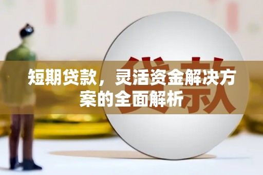龙岗短期贷款，灵活资金解决方案的全面解析