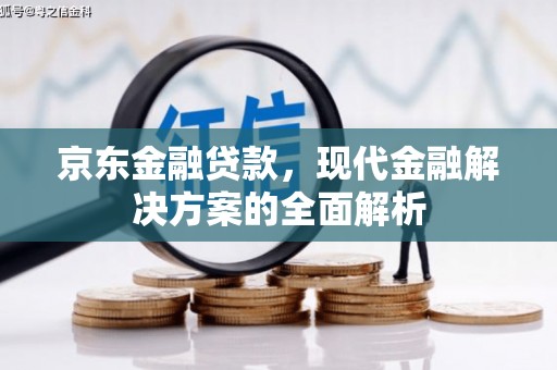 龙岗京东金融贷款，现代金融解决方案的全面解析
