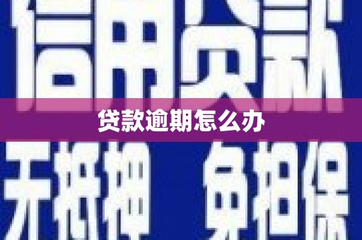 龙岗贷款逾期怎么办