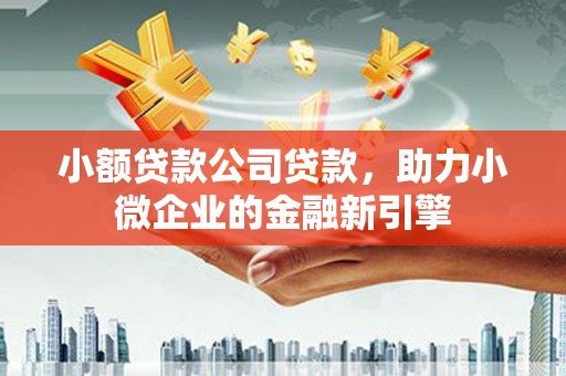 龙岗小额贷款公司贷款，助力小微企业的金融新引擎