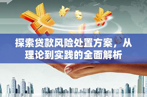 龙岗探索贷款风险处置方案，从理论到实践的全面解析