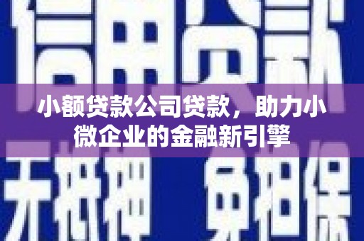 龙岗小额贷款公司贷款，助力小微企业的金融新引擎