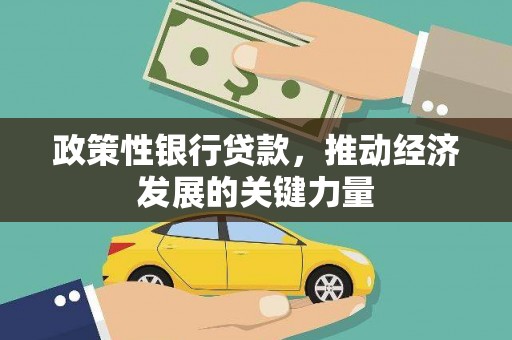 龙岗政策性银行贷款，推动经济发展的关键力量