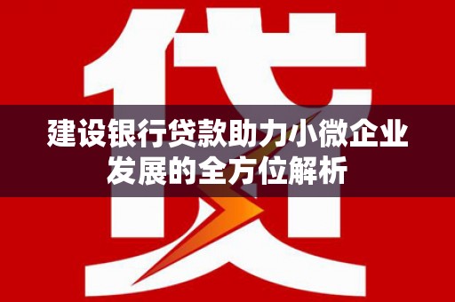 龙岗建设银行贷款助力小微企业发展的全方位解析